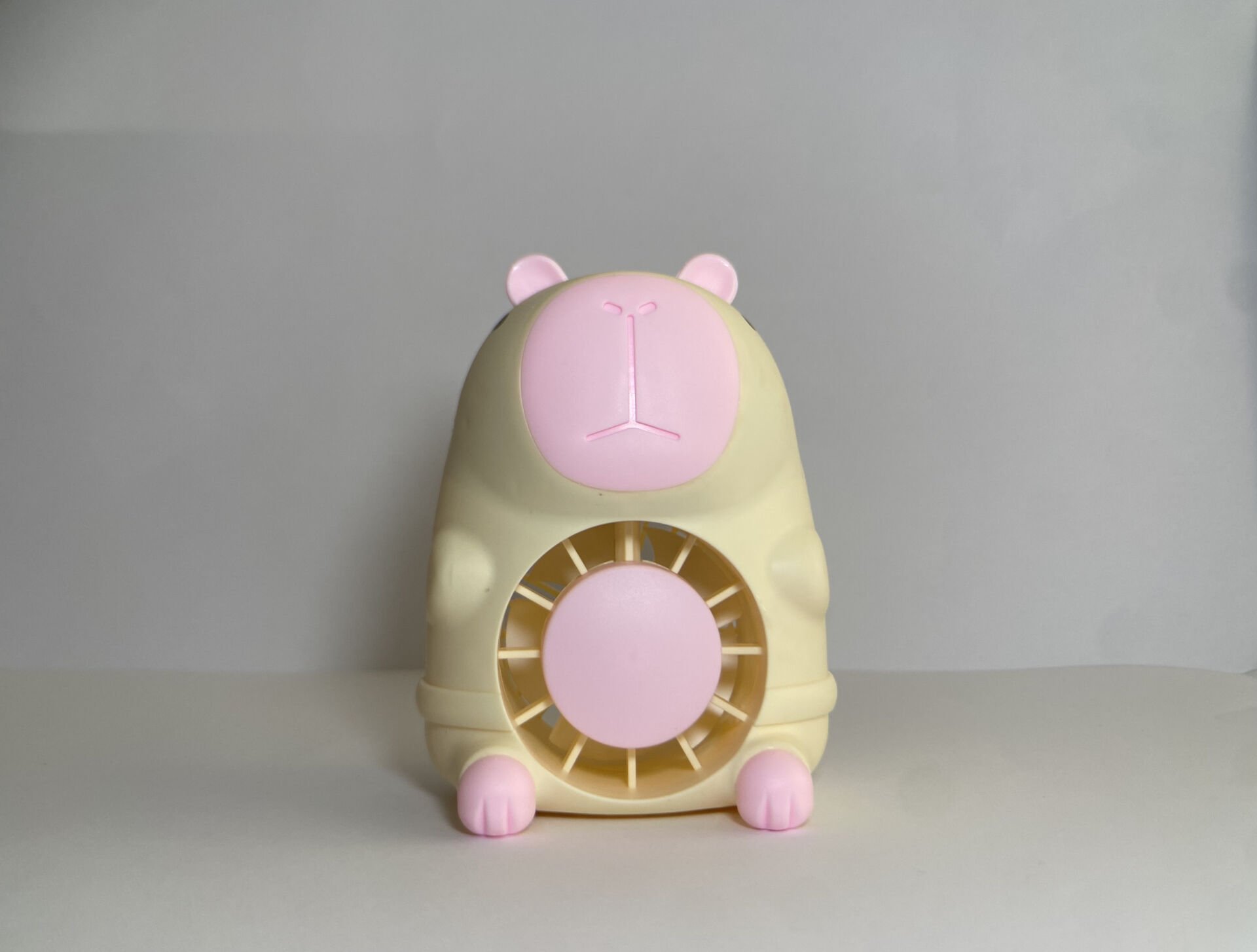 Mini Fanlar