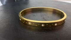 Çelik Kadın Kelepçe